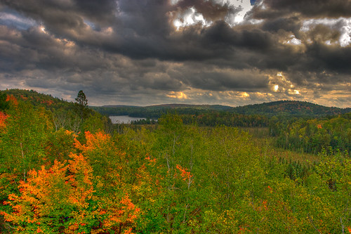 Algonquin Park Fall Landscape, Ontario Canada