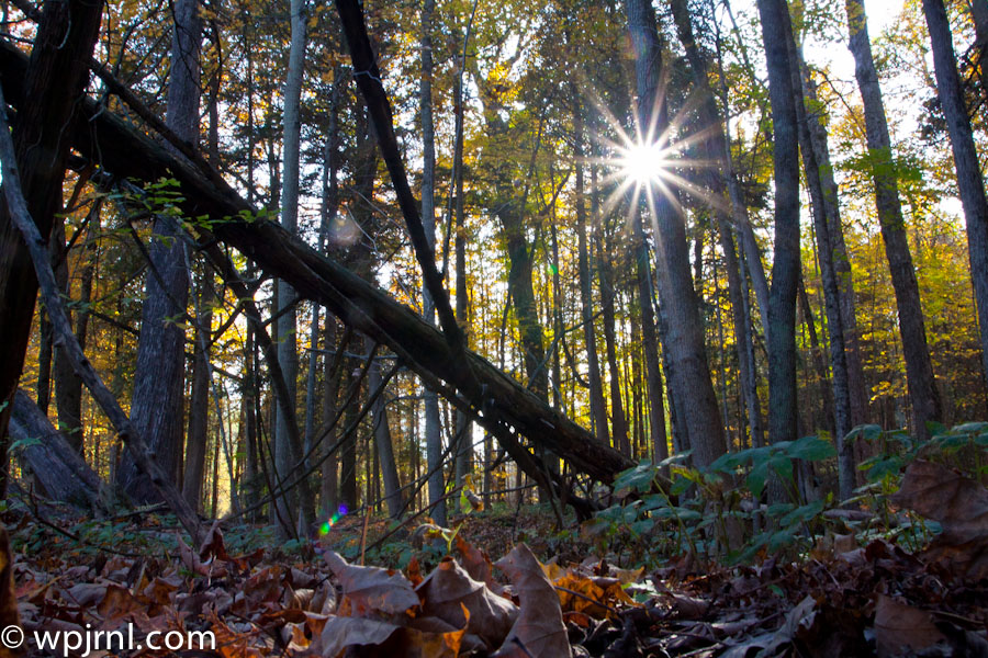Greenwood Conservation Area, Ajax Ontario Canada