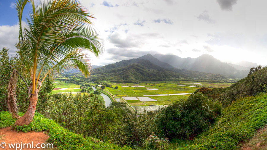 Hanalei Valley Overlook, Kauai Hawaii