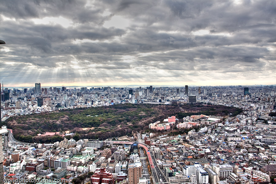 Meiji Shrine Aerial View, Tokyo Japan