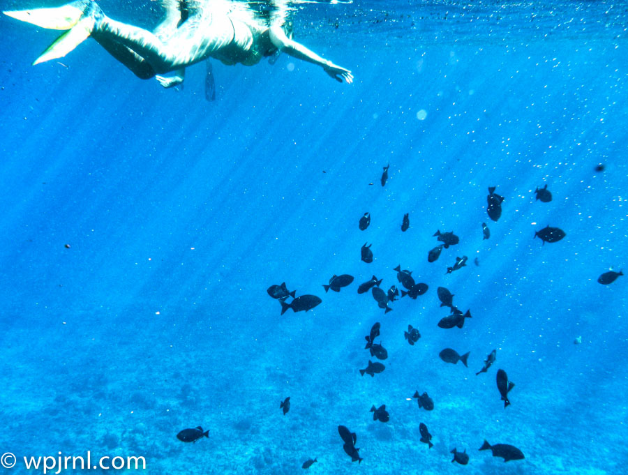 Molokini Crater Snorkel Site, Maui Hawaii