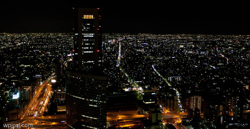 Park Hyatt Tokyo Night View, Shinjuku Tokyo Japan