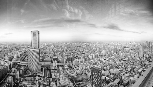 Peak Bar, Park Hyatt Tokyo — 42nd Floor, Tokyo Japan