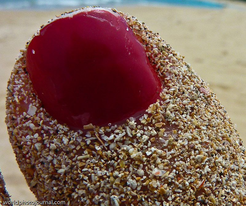 Sandy Toe Dessert with Red Berry Coulis