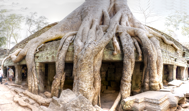 Ta Prohm Temple, Angkor Archaeological Park Cambodia