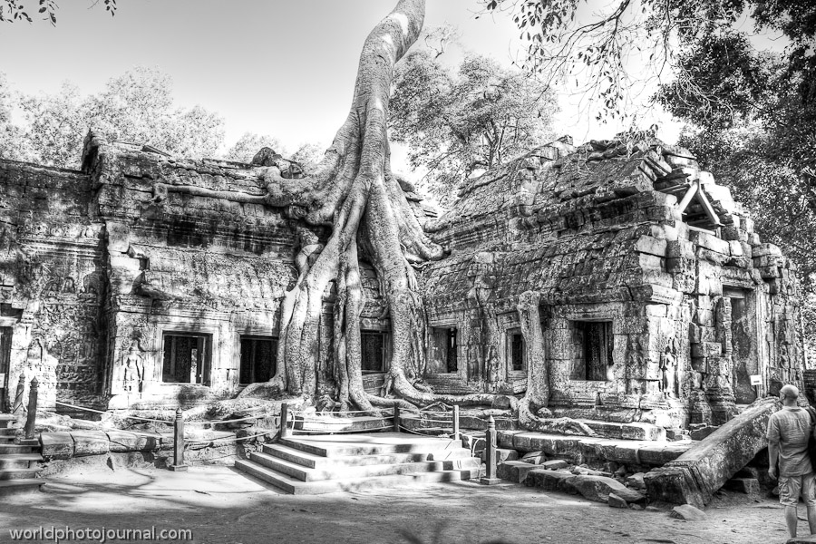 Ta Prohm Temple, Angkor Archaeological Park Cambodia