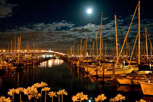 Westhaven Marina, Auckland New Zealand